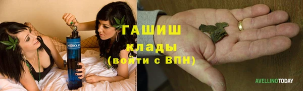 стафф Волгодонск