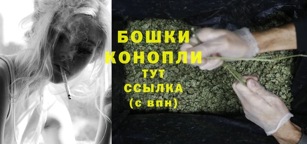 круглые Гусев