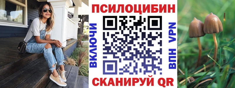 Купить закладки  Стародуб  Галлюциногенные грибы Psilocybine cubensis 