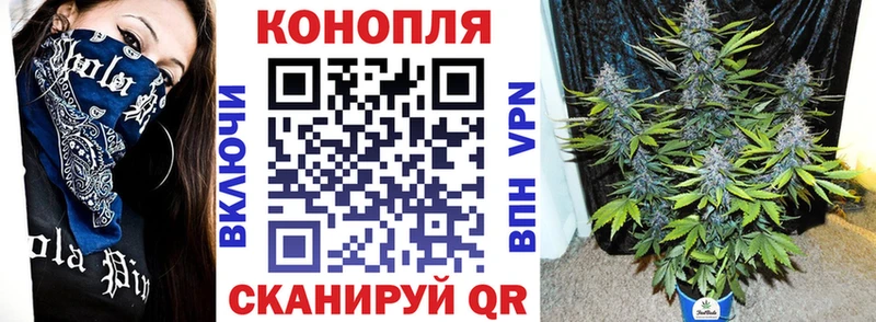 Купить закладки  Стародуб  Конопля план 